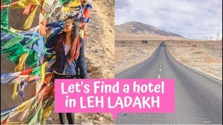 Leh Ladakh April 2019  Flight Hotel Cafes and Main Bazaar [upl. by Aihsined]