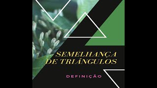 SEMELHANÇA DE TRIÂNGULOS DEFINIÇÃO [upl. by Berthoud]