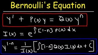 Bernoullis Equation For Differential Equations [upl. by Caine]