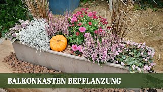 Balkonkasten Bepflanzung für den Herbst [upl. by Ahsinac730]