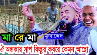 মা রে মা ঐ অন্ধকার সাপ বিচ্ছুর কবরে কেমন আছো ilyasurrahmanjihadi ইলিয়াছুররহমানজিহাদীওয়াজ [upl. by Amaras]