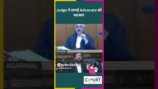 Judge ने लगाई Advocate को फटकार law funny civiljudge federalcourt courtpractice news ai fun [upl. by Airamesor]