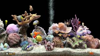 ★ Marine Aquarium ★ UHD Screensaver ★ Black Ocean ★ 60fps ★ [upl. by Ahsikrats]