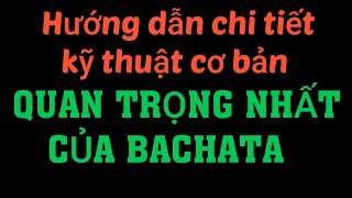 Hướng dẫn chi tiết cách đánh hông bachata  khiêu vũ giao tiếp 93 [upl. by Thibault]