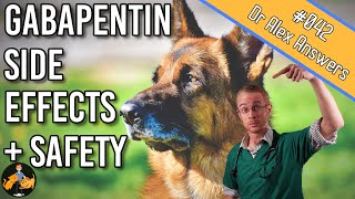 Gabapentin in Dogs  Safety and Side Effects  Dog Health Vet Advice [upl. by Aenitsirhc]