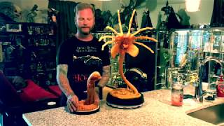 HCG  LifeSize Exclusive Aliens Facehugger Review [upl. by Irrej]