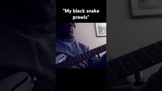 quotMy black snake prowlsquotviral fyi foryoupage guitar fyp foryou trending music fye [upl. by Anastassia789]