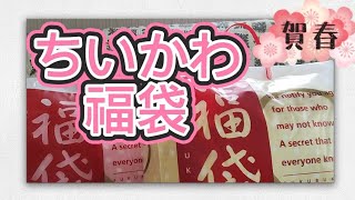 【ちいかわ】ちいかわ福袋2024！2袋開封した結果がやばすぎた…【福袋】 ちいかわ ちいかわグッズ 福袋 [upl. by Mcquoid]