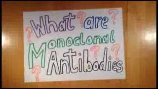 What are Monoclonal Antibodies [upl. by Anawahs328]