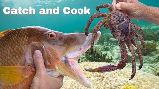 Catch amp Cook  Crabs amp Hogfish  Spearfishing off Key Largo [upl. by Inaoj391]