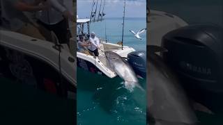 quotMassive Tuna Caught on Rod Epic Fishing Struggle in the SeaFishing Pesca Pêche Angeln Pesca [upl. by Kraft]