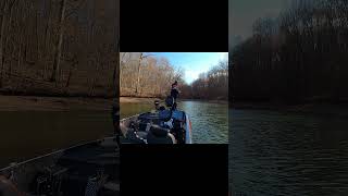 Invasive Carp barkley bassfishing crappie fishing [upl. by Camila]