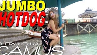 BUDOTS DANCE JUMBO HOTDOG ZUMBA [upl. by Eglantine807]