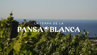 La Terra de la Pansa Blanca [upl. by Limber]