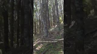 Hiking over a Ridge in Patagonia Argentina  Backcountry Camping in the Patagonian Wilderness [upl. by Kcirreg]