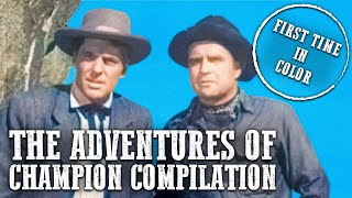 The Adventures of Champion Compilation  COLORIZED  Western Series [upl. by Christean]