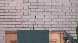 Hartzell United Methodist Church Live Stream  Chicago [upl. by Vidovic]