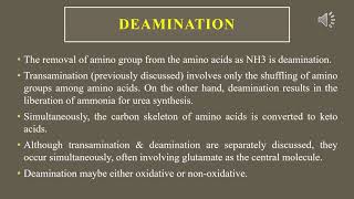 Transamination deamination and decarboxylation of amino acids [upl. by Nanny]