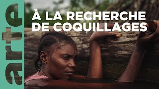 Plongée au coeur du delta du Congo  360° Reportage  ARTE Family [upl. by Lucille]