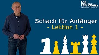 Schach für Anfänger  Lektion 1 [upl. by Arhoz]