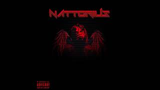 NATTY  NATTORIUS [upl. by Alicul]