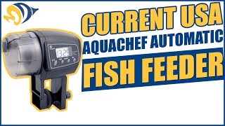 Current USA AquaChef Automatic Fish Feeder Product Demo [upl. by Inavoig]