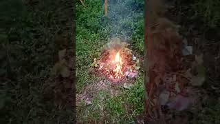 Perme Bura Arunachal Clean Plastic In Forest Area treadings youtubeshorts shortvideo [upl. by Osbourne]