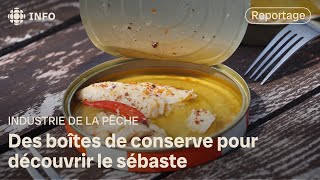 Des conserves pour découvrir le sébaste [upl. by Nerita]