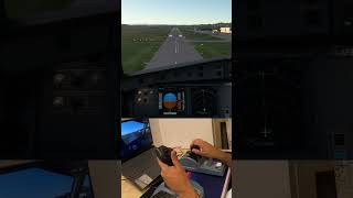 Geneva Airport Landing A320 Cockpit View in the Morning flywithnick flightsimulatorgameplay [upl. by Ahsimin243]