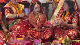 Newari saipata❤️ Newari wedding Nishanpriyankakobihe Part2 [upl. by Sarilda]