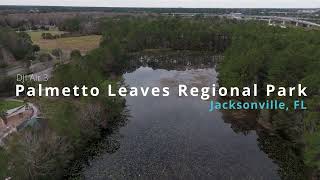 Fearless Footage DJI Air 3 DLOG Mode at Palmetto Leaves Regional Park [upl. by Eesak]