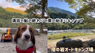 犬連れキャンプ2023 清流と鮎のおわりと栗🌰のはじまり 塔の岩オートキャンプ場コイケル [upl. by Ayenet]