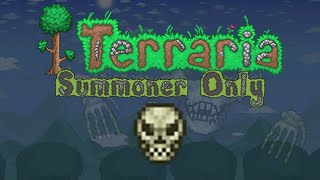 Terraria Summoner Only  Expert Skeletron [upl. by Ahsilif]