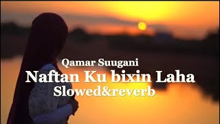 Naftan Ku bixin Laha  Slowedampreverb Qamar Suugani [upl. by Orrocos]