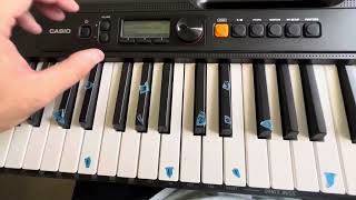 Casio Casiotone 61 Key Portable Keyboard with USB Review [upl. by Pawsner]