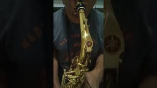 Zé da Timba e Zé Latinha  Cover Sax  ALL THE MOUNTAINS ARE HIGH [upl. by Alimak]