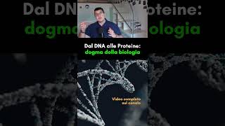 Dal DNA alle Proteine il dogma della biologia molecolare [upl. by Bruis89]