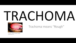 Ophthalmology 076 a Trachoma What is Chlamydial Trachomatis Conjunctivitis [upl. by Oicapot]