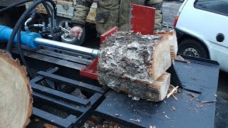 Harvesting Hearth The Art and Mastery of Expert Firewood Chopping woodworking work firewood [upl. by Zaneski524]