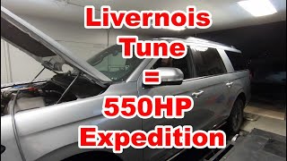 Livernois Tunes the 2018 Expedition 35 Ecoboost gains over 130hp Huge change in passing power [upl. by Haikan]