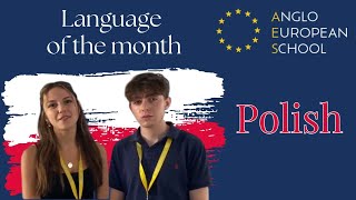 Language of the Month Polish [upl. by Aurelio]