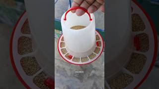 💥UNBOXING BIRDS FOOD FEEDER AND WATER FEEDER 😍🦜shorts birds unboxing budgies lovebirdspetsvlog [upl. by Foulk]