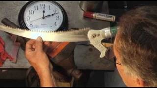 Pole Saw Blade Maintenance  Prune Like a Pro [upl. by Trinatte113]