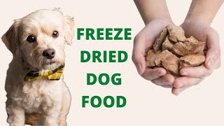 PROS AND CONS OF FREEZE DRIED DOG FOOD I RAW DOG FOOD I ROTATIONAL MONO FEEDING [upl. by Cibis]