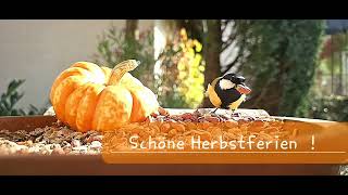 Schöne Herbstferien [upl. by Andromache539]