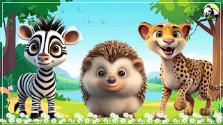 Wild Animal Sounds In Peaceful Zebra Hedgehog Cheetah  Cute Animal Moments [upl. by Valentijn962]