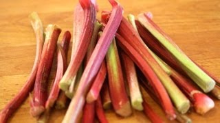 Rhubarb 101  Everything You Need To Know About Rhubarb [upl. by Aisset]