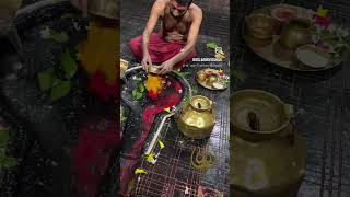 Har har Mahadev reel love misha shyam mishaan devotionalsong song mishaa harharmahadevsong [upl. by Safire]