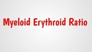 Myeloid erythroid ratio [upl. by Lemert535]