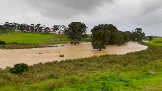 Flood along Old Malmesbury Road in South Africa [upl. by Emory46]